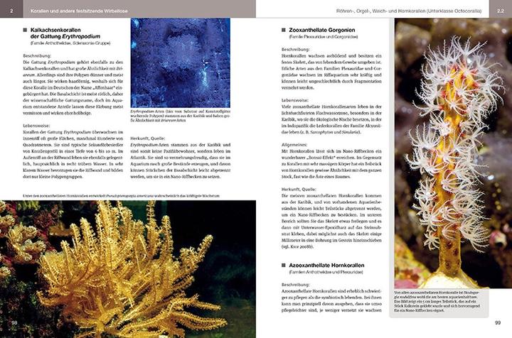 Immagine prodotto Nano-Riffaquarien (Tedesco, Daniel Knop, 2023)