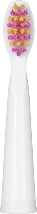 Actual product image Fairywill FW-507 (Sonic toothbrush)