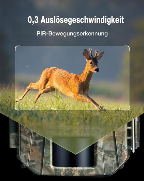 Actual product image Wolfang Wildkamera