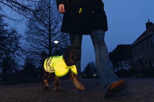 Produktbild Beeztees Bz Sg Hundemantel Teddie Refle (XXL, Hundemantel)