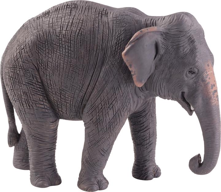 Immagine prodotto Animal Planet Elefante asiatico