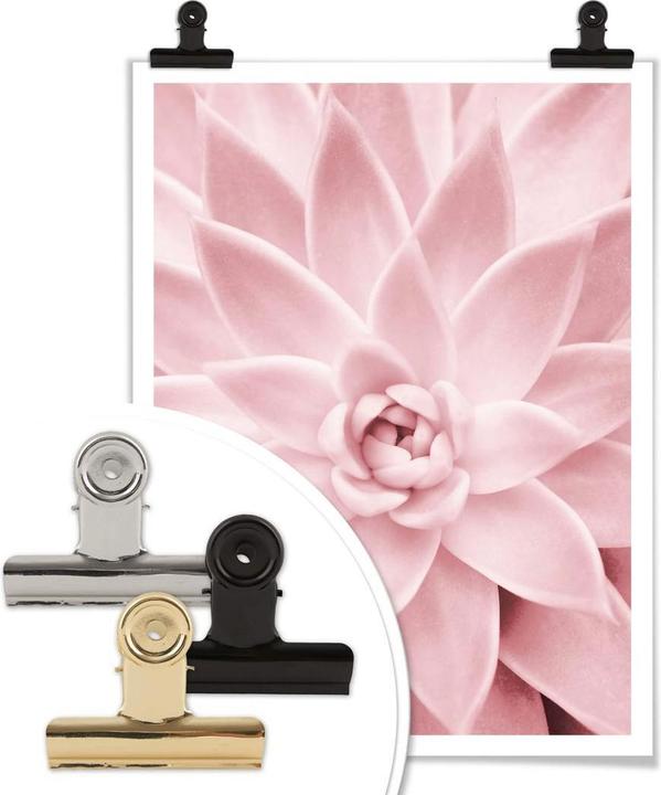Produktbild Trenddeko Rosa Sukkulente (50 x 60 cm)