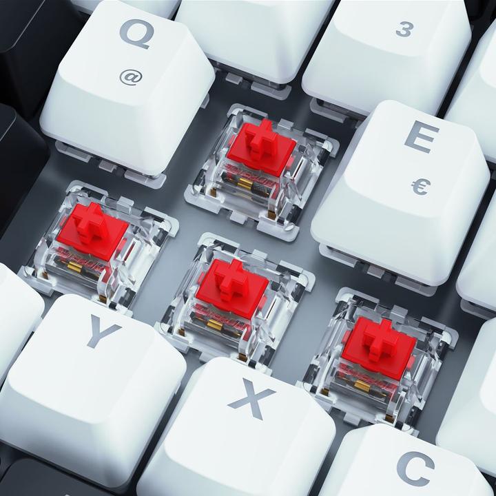 Image du produit Sharkoon SGK50 S3 (DE, Filaire)