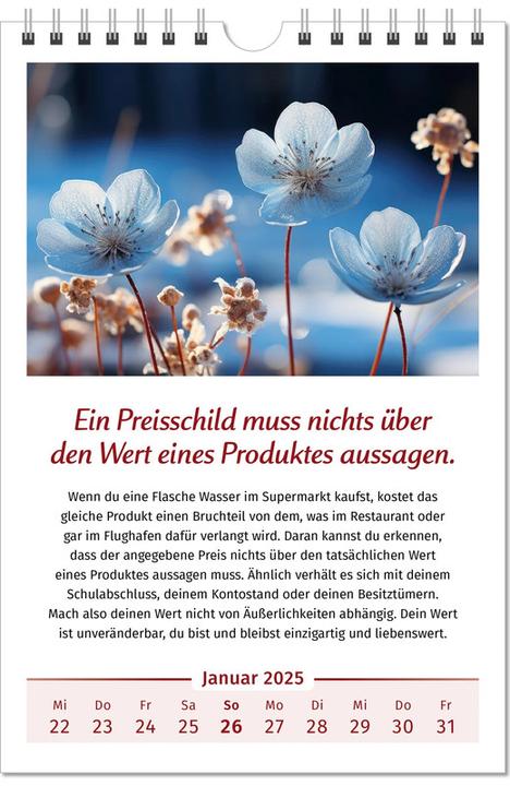 Produktbild Der Lebensfreude-Kalender (Kein Einband, Deutsch)