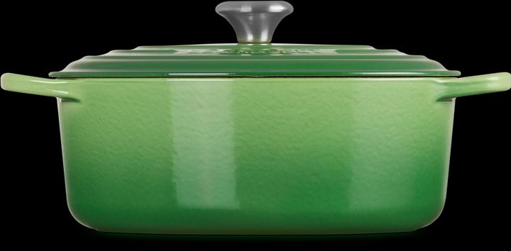 Actual product image Le Creuset Roaster Signature Ø 29cm, oval (29 cm, Casserole + Stewpot, Cast iron)
