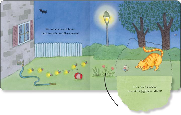 Produktbild Leise durch die Nacht - Ein Pappbilderbuch mit vielen Klappen (Deutsch)
