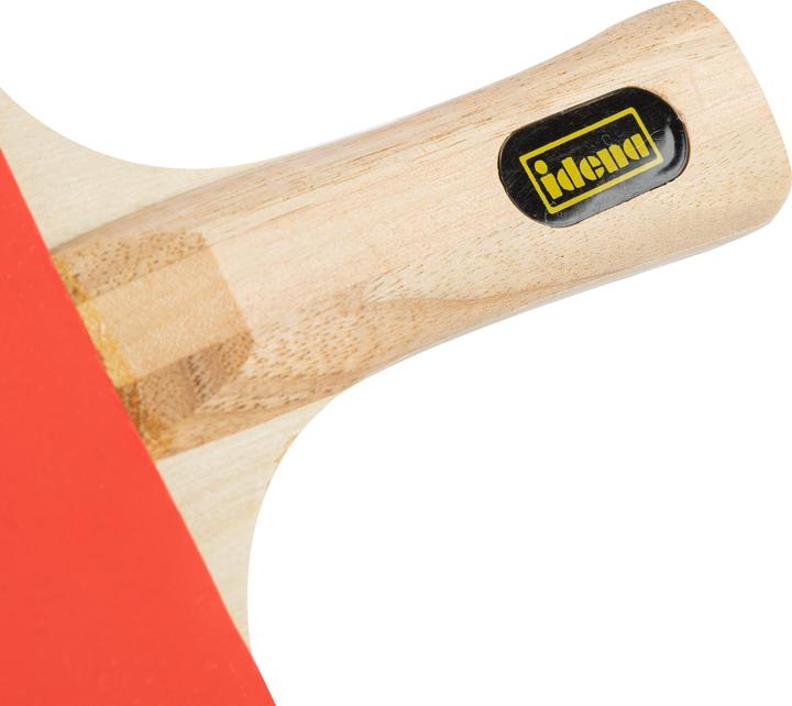 Actual product image Idena Table Tennis Bat Training