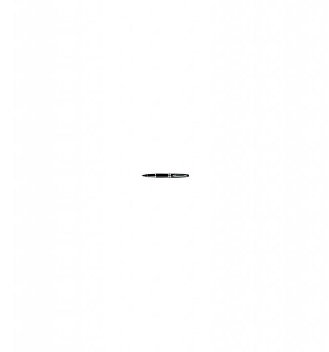 Actual product image Waterman Expert (Silver, Black, 1 x)