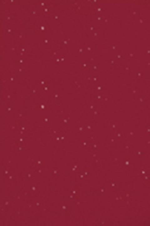 Immagine prodotto Shiseido Lacca Rouge (RD607)