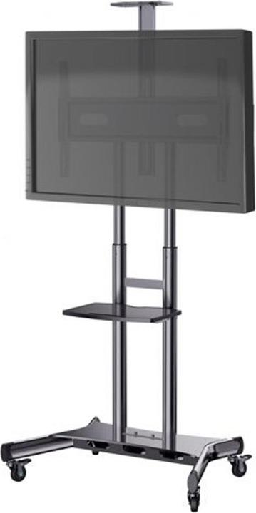 Actual product image Hagor HP Twin Stand HD (84", 90 kg)