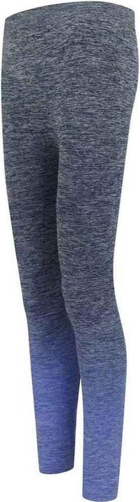 Actual product image Tombo Womens/Ladies Fade Seamless Leggings (40 D)