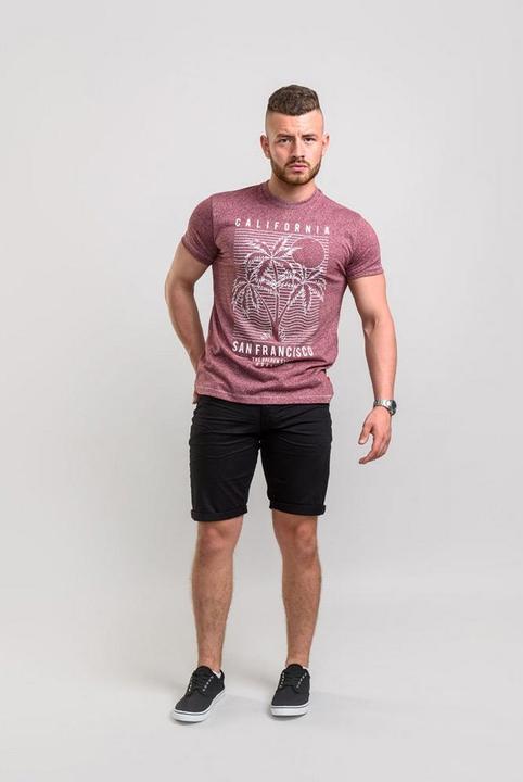 Immagine prodotto DUKE TShirt Oscar con la stampa SanFranciscoPrint in formato oversize (S, 4XL)