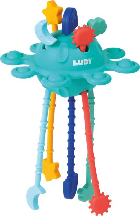 Zippy Activites Ludi