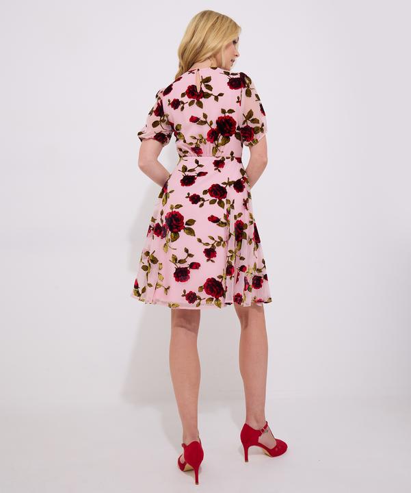Produktbild Joe Browns Vintage Inspired Devore Rose Mini Dress (18)