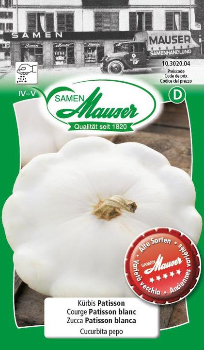 Actual product image Samen Mauser Pumpkin Patisson (Vegetable seeds)