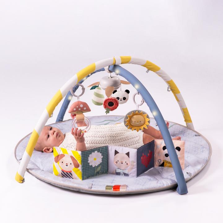 Image du produit Taf Toys Melody Bloom