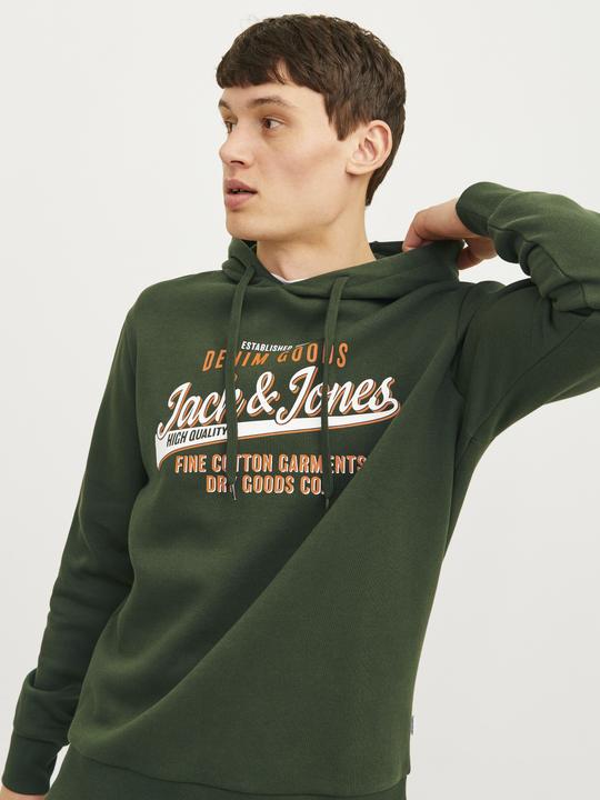 Actual product image Jack & Jones JJELOGO SWEAT HOOD 2 COL 24/25 NOOS (XL)