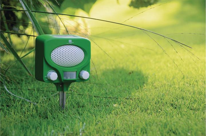 Actual product image Swissinno Solar Ultraschall Tiervertreiber, Marder- & Katzenschreck