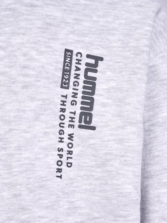 Image du produit hummel hmlDANTE HOODIE (122)