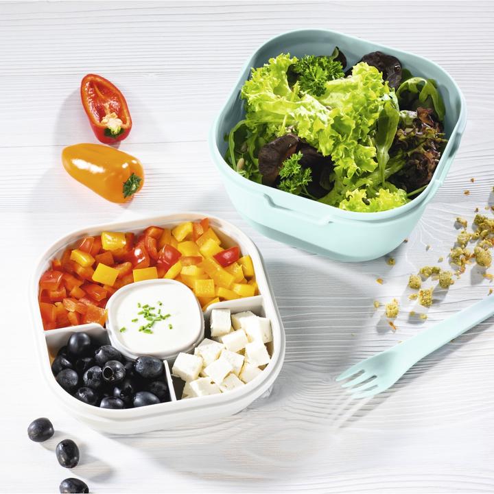 Actual product image Xavax Salad Box To Go