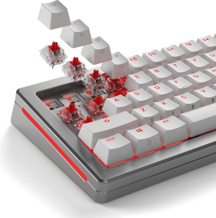Produktbild Glorious Mechanical Switches (110pcs) - Fox - Lubed (Linear) 45g