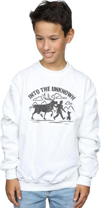 Produktbild Disney Frozen 2 Into The Unknown Sweatshirt Jungen (152, 158)