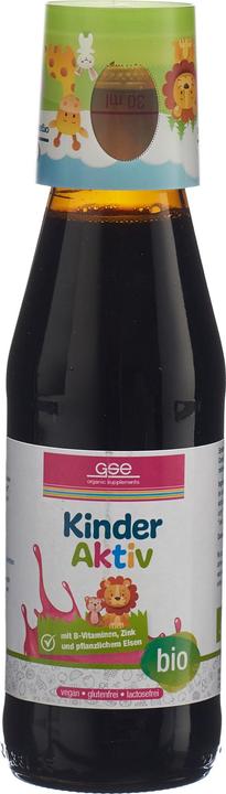 Produktbild GSE Kinder Aktiv Complex Bio liq (1 Stück, Flüssigkeit, 592 g)