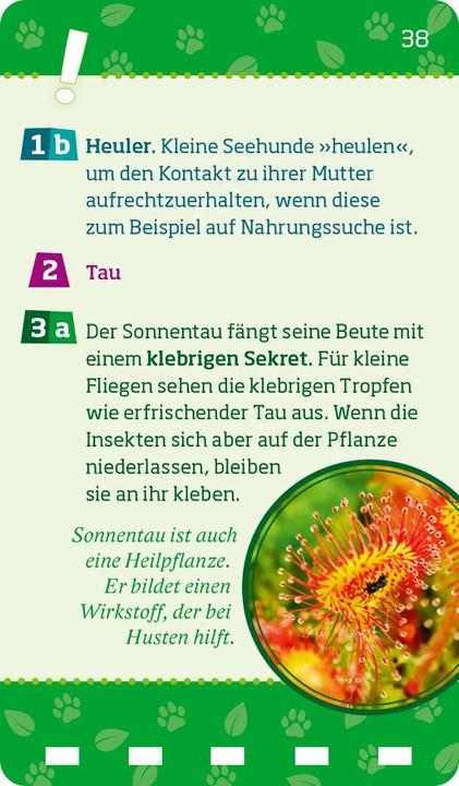 Produktbild Tessloff WAS IST WAS Quiz Natur und Tiere (Deutsch, Tessloff Verlag Ragnar Tessloff GmbH & Co.KG, 2024)