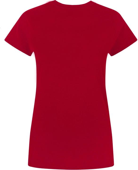 Immagine prodotto Flash Maglietta con logo Distress (XL)