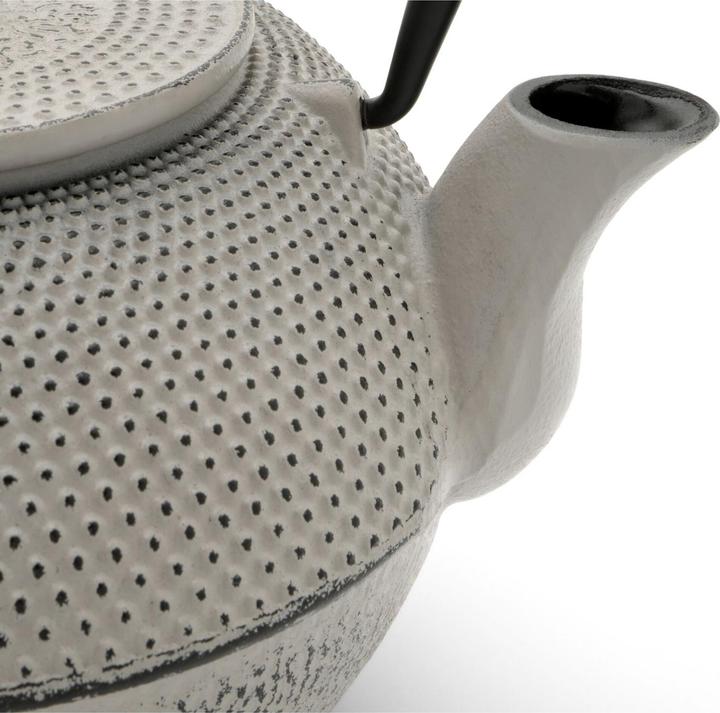 Productafbeelding Bredemeijer Jang (1.10 l)