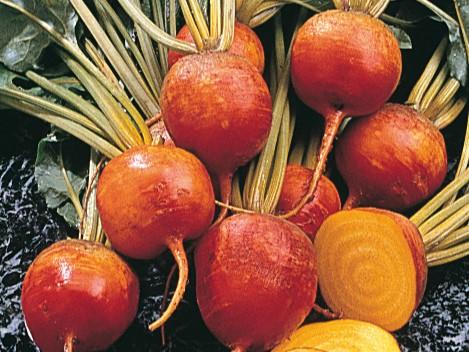 Actual product image Zollinger Bio Beetroot, Burpees Golden