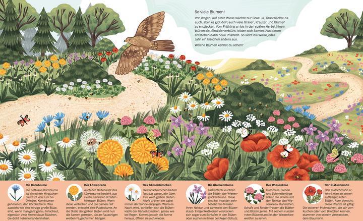 Image du produit Kleine Geheimnisse der Natur - Wald und Wiese (Allemand, Kaja Kajfež, Support & Vorbach, 2022)