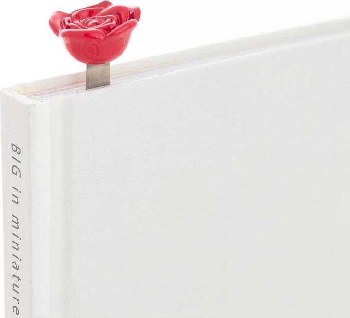 Image du produit MTM Signet Rose