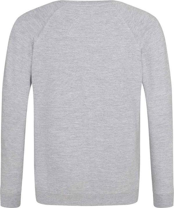 Immagine prodotto Awdis Academy Felpa Raglan Bambini (146, 152)