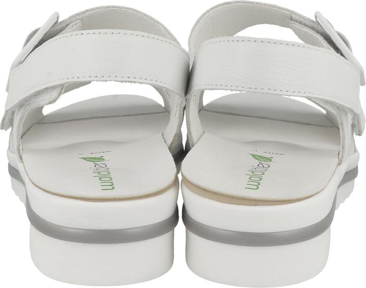 Actual product image Waldläufer Hakura (40)