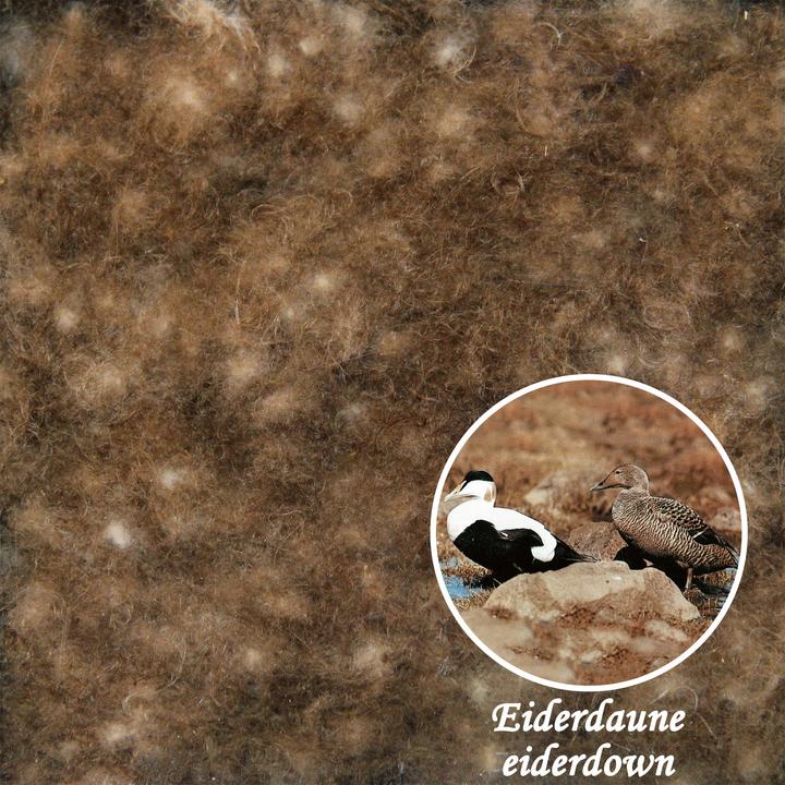 Actual product image Erwin Müller Copenhagen (1216 g, 200x200 cm)
