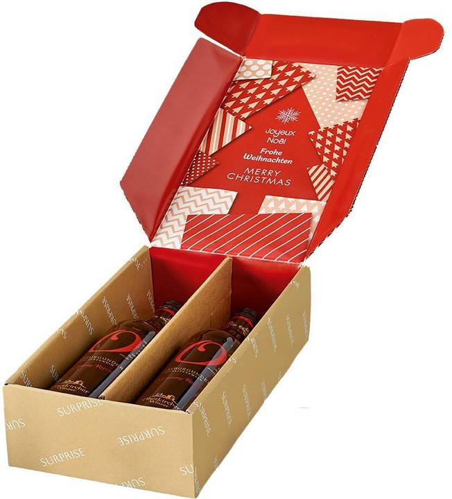 Produktbild Brieger Geschenkbox für 2 Flaschen Surprise Weihnachten (Geschenkbox, 1 x)