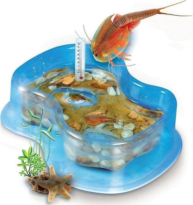 Actual product image Galileo Original Triops Starter Set