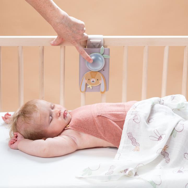 Image du produit Taf Toys Ensemble bébé apaisant lapin
