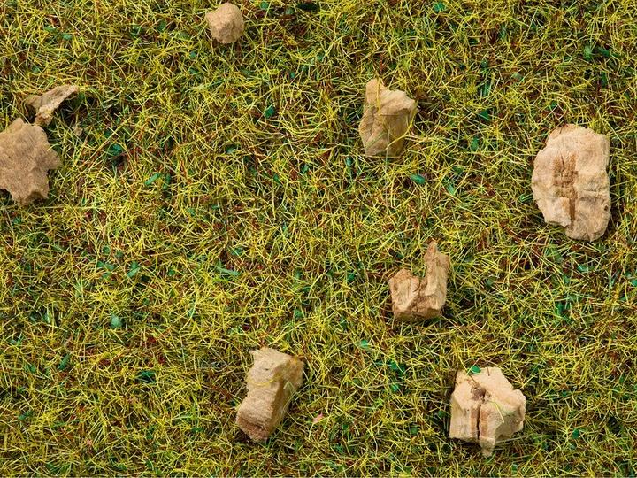 Image du produit Noch Herbe à litière Prairie de montagne rocailleuse 8