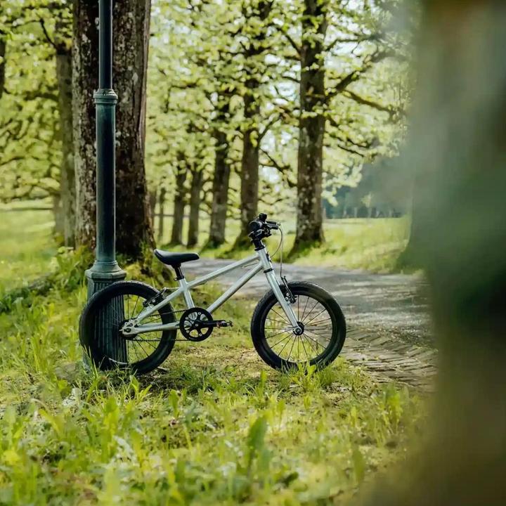 Immagine prodotto Siech Cycles Kids Bike (16")