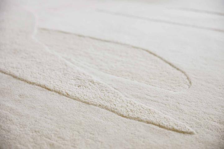 Immagine prodotto Brink & Campman Decorazione (250 x 350 cm)