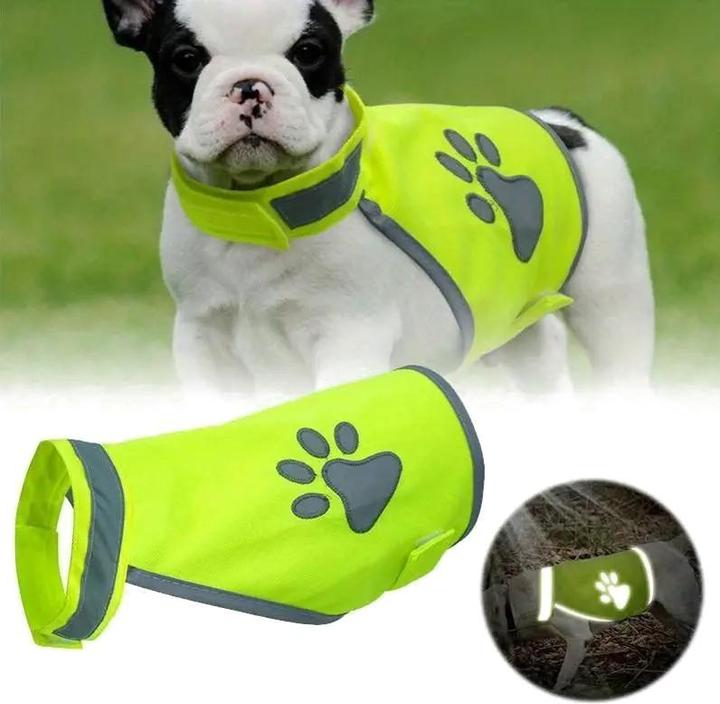 Immagine prodotto Cbx Gilet riflettente ad alta visibilità per cani, gilet di sicurezza per cani - taglia S (S, Gilet per cani)