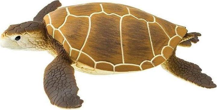 Actual product image Safari Brown green turtle