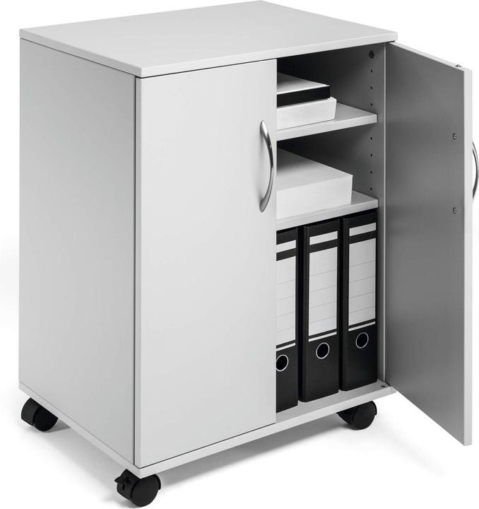 Actual product image Durable Multifunctional trolley (74 x 53 x 2 cm)
