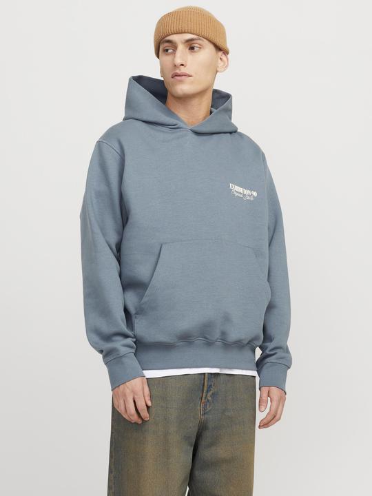 Image du produit Jack & Jones Jorroxbury Back Sweat Hood Ln (M)