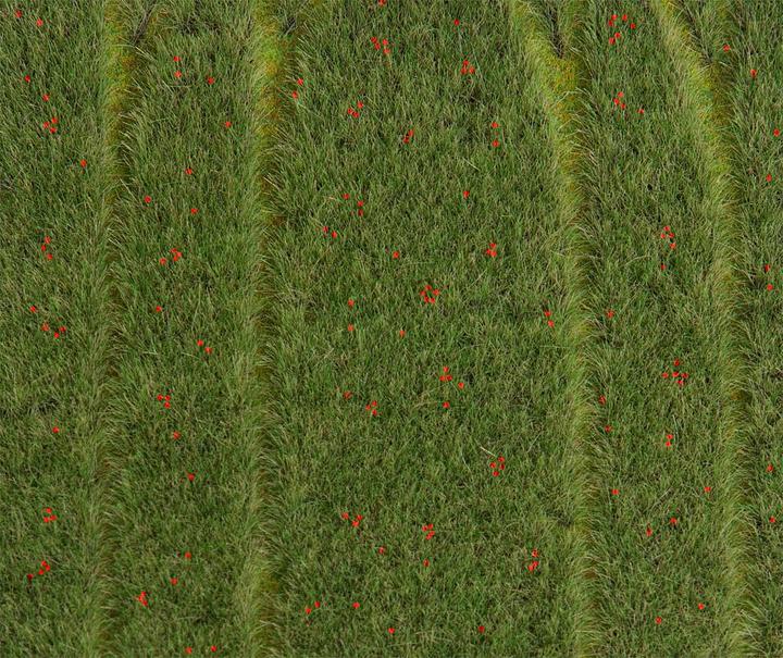 Produktbild Faller Landschafts-Segment, Getreide + Mohnblumen DIN A5