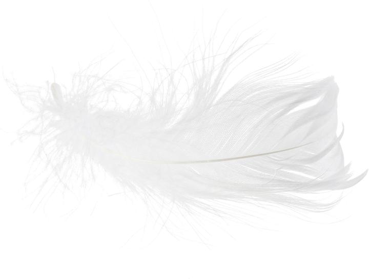 Produktbild VBS Gänsefedern, 20 g