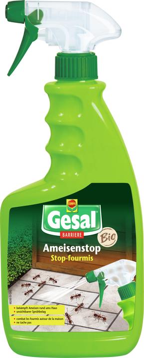 Gesal Ameisenstop (Ameisen)