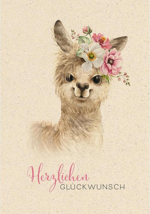 Lama (1 Stk.)